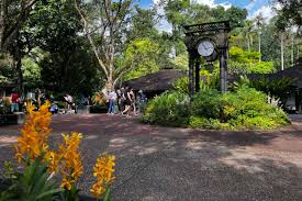 botanical gardens in singapore unesco