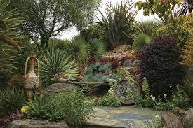 Garden Design Tips Using Texture Extremes
