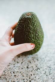 benefits of avocado leaves masala monk