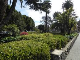 Maybe you would like to learn more about one of these? Park Picture Of Vina Del Mar Park Sausalito Tripadvisor