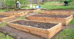 Raised Beds Soil Depth Requirements