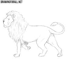 Explore what was found for the drawn lion anime. How To Draw Lions In Anime How To Draw A Lion Step By Step Rendah Gula
