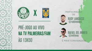 Assista à transmissão com imagem da jovem pan. Live Pre Jogo Palmeiras X Tigres Youtube