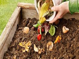 of compost and how they benefit the plants