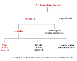 Nomenclature Classification