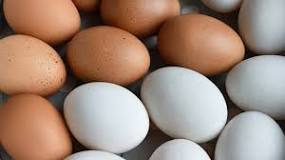 Which is healthier chicken egg or duck egg?