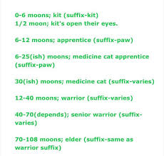 Warrior Cat Ages Warriors Amino