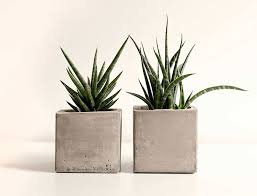 Simply select afterpay as your. Diy How To Make Your Own Concrete Planters Homify