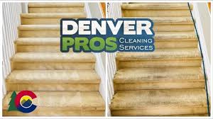 the 1 carpet cleaning in aurora co