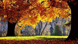 39 best free autumn wallpapers