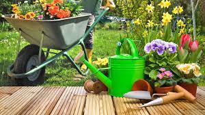 Spring Garden Care Tips Sod Solutions