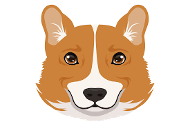 corgi face icon cute cartoon dog head