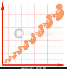 Human Fetus Growth Chart Stock Vector