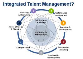 what is talent management josh bersin