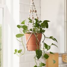 How to make indoor hanging plant pot using plastic bottles at home | hanging plant ideas. Anvandbar Hanging Plant Holder Hanging Natural Ikea