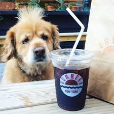 7 dog friendly coffee s in nyc