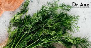 dill weed nutrition facts health