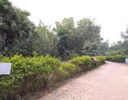 Tehsil of bankura district in west bengal,india. Sunukpahari Eco Park Andharthole Parks In Bankura Justdial