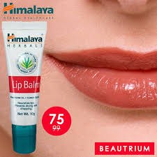 himalaya lip balm ซื้อ ที่ไหน rose