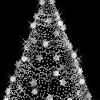Extra large christmas tree with gifts png clip art image. Https Encrypted Tbn0 Gstatic Com Images Q Tbn And9gcqhtvo6ljy Ho0pqvwgo W0nqt Pqmtxxvf4 Cbqxg9ics Su3f Usqp Cau
