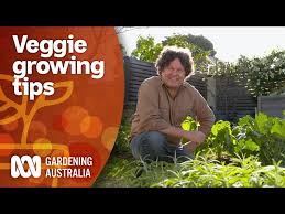 How To Maximise Your Vegetable Gardens