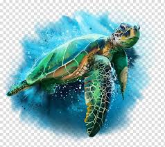 Green And Brown Turtle Ilration