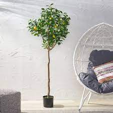 Green Artificial Lemon Tree