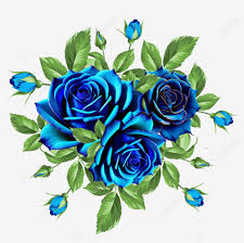 blue rose flower bouquet