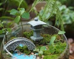Mini Japanese Garden
