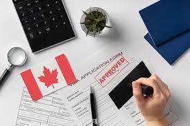 Navigating the visa application process can be complicated and challenging. However, the Best immigration consultancy Pondicherry can help you to provide personalized advice and ensure application procedures. Moreover, they can also provide insight into potential 