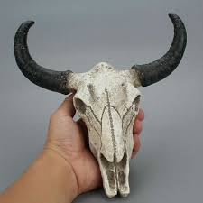 Resin Wall Mount Steer Bull Horn Head