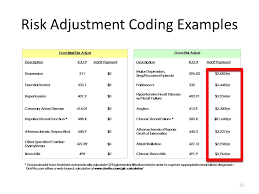 Risk Adjustment Hierarchical Condition Categories Hcc