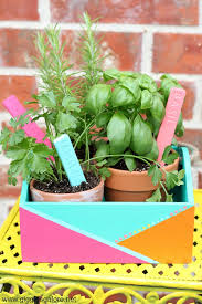 Colorful Herb Box Garden Planter