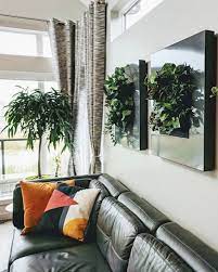 How To Build An Indoor Plant Wall