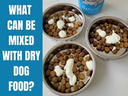 dry dog food to tempt your dog