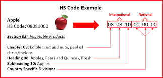 what is hs code gce logistics