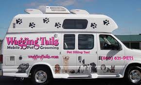 Mobile cat nail clipping service near me. Mobile Grooming Cheshire Newington Ct Dog Spa Groomer