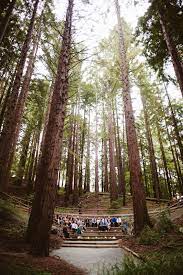 als redwood grove uc botanical garden