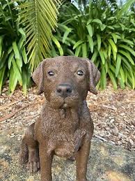 Labrador Sitting Dog Puppy Chocolate