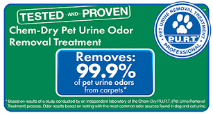 pet urine odor stain removal chem