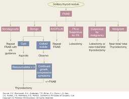 Thyroid Parathyroid And Adrenal Schwartzs Principles Of