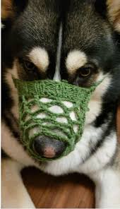 Check spelling or type a new query. Gentle For Whiskers And Environmental Friendly Dog Muzzle 5 Steps With Pictures Instructables