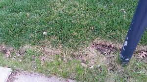 In), you're not going to have this work in laying sod over existing lawn. Is Laying Sod Higher Than Existing Lawn Best Practice Gardening Landscaping Stack Exchange