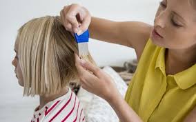 lice symptoms you need to be aware of
