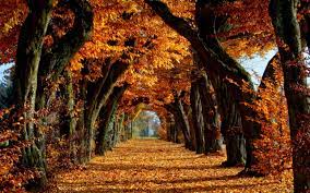 Autumn Screen Wallpapers - Top Free ...