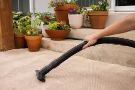 how to clean indoor outdoor carpet