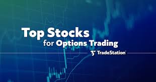 top stocks for options trading