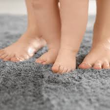 best carpet cleaning company raleigh
