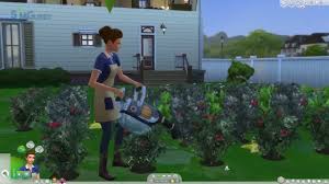 sims 4 gardening guide evolving your
