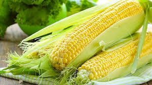 Image result for corn